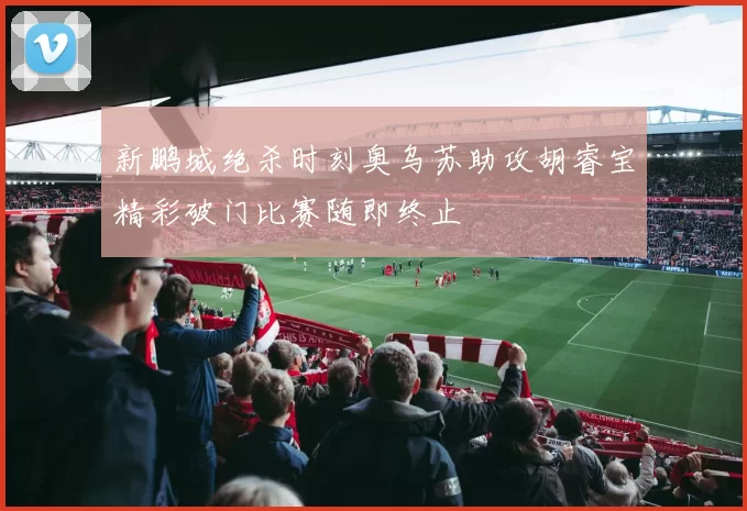 新鹏城绝杀时刻奥乌苏助攻胡睿宝精彩破门比赛随即终止